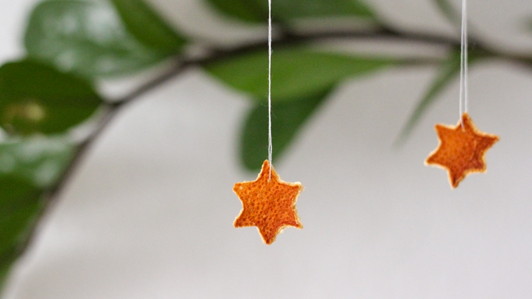 Sterne aus Orangenschalen sind gut geeignet um mit Kindern für Weihnachten zu basteln